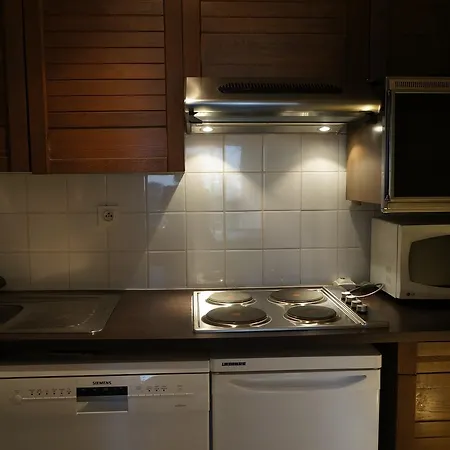 Apartement Damao * 샤모니
